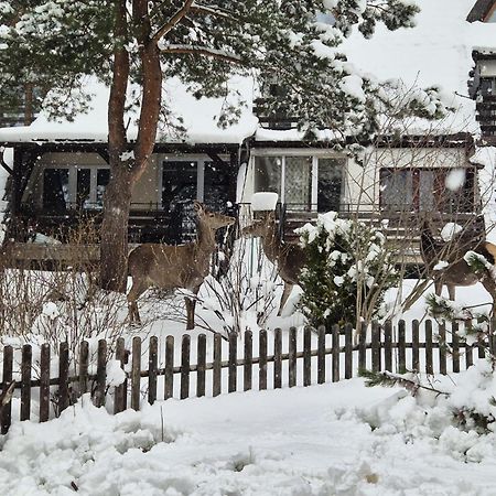 Apartament Wokol Stolu Zakopane Exteriér fotografie